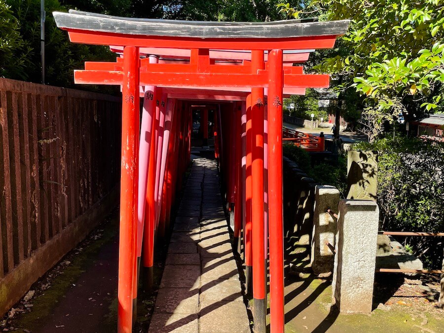 Nezu Shrine Torii Gate