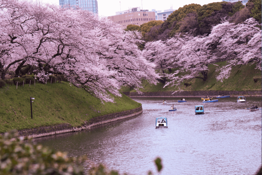 Best Time To Visit Japan Spring