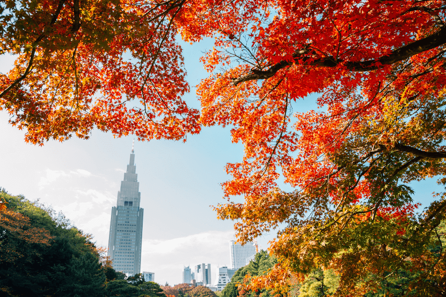 Tokyo in November