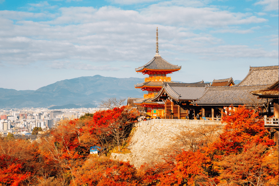 Visiting Kyoto in November
