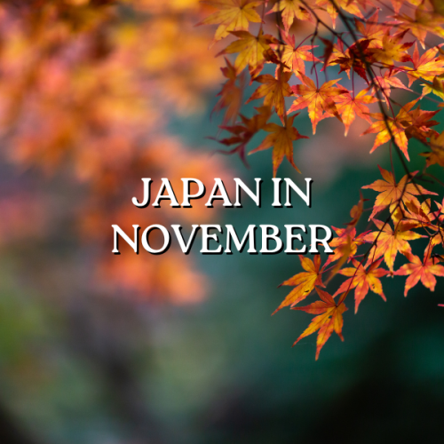 Japanko - Blog Featured Image