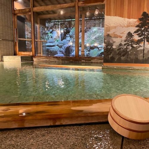 Araya Totoan Ryokan Hot Springs